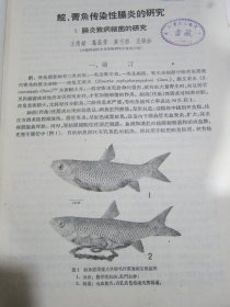 水生生物学集刊王德銘葛蕊芳吴兰彰王銀妙《鲩鱼青魚传染性腸炎的研究》陈佩薰梁子湖鯉魚鱗片年輪的标誌及其形成的时期；朱宁生陈宏溪：梁子湖山鱤鱼的食性；多盖尔 、阿赫勉罗夫：黑龙江鱼类的线虫；堵南山赖伟：大湖枝角类生殖期的观察；王昌燮：长江中游“野魚苗”的种类鉴定；张甬元惠嘉玉闻根芳黄建昭鉄矿浮选厂尾矿废水对家魚的毒性及排放指标的探討；王祖熊梁子湖湖沼学資料、梁子湖煤业的調查；蔣一珪梁子湖鳜魚的生物学