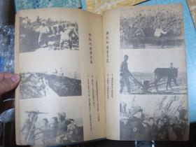 中国农报 1950年全年（创刊号第一卷第一、二、三、四、五、六、七、八期）附有新中国初期珍贵插图照片