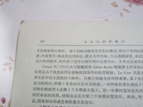 水生生物学集刊王德銘葛蕊芳吴兰彰王銀妙《鲩鱼青魚传染性腸炎的研究》陈佩薰梁子湖鯉魚鱗片年輪的标誌及其形成的时期；朱宁生陈宏溪：梁子湖山鱤鱼的食性；多盖尔 、阿赫勉罗夫：黑龙江鱼类的线虫；堵南山赖伟：大湖枝角类生殖期的观察；王昌燮：长江中游“野魚苗”的种类鉴定；张甬元惠嘉玉闻根芳黄建昭鉄矿浮选厂尾矿废水对家魚的毒性及排放指标的探討；王祖熊梁子湖湖沼学資料、梁子湖煤业的調查；蔣一珪梁子湖鳜魚的生物学