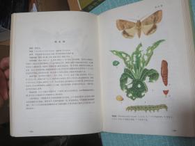 中国农作物病虫图谱 第二集