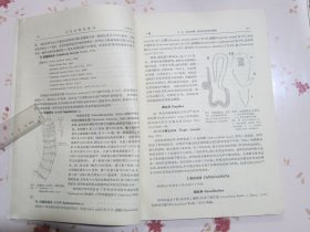 水生生物学集刊王德銘葛蕊芳吴兰彰王銀妙《鲩鱼青魚传染性腸炎的研究》陈佩薰梁子湖鯉魚鱗片年輪的标誌及其形成的时期；朱宁生陈宏溪：梁子湖山鱤鱼的食性；多盖尔 、阿赫勉罗夫：黑龙江鱼类的线虫；堵南山赖伟：大湖枝角类生殖期的观察；王昌燮：长江中游“野魚苗”的种类鉴定；张甬元惠嘉玉闻根芳黄建昭鉄矿浮选厂尾矿废水对家魚的毒性及排放指标的探討；王祖熊梁子湖湖沼学資料、梁子湖煤业的調查；蔣一珪梁子湖鳜魚的生物学