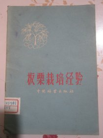 板栗栽培经验