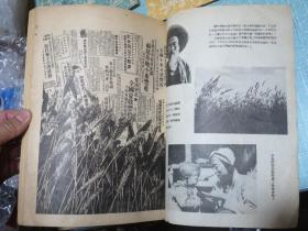 中国农报 1950年全年（创刊号第一卷第一、二、三、四、五、六、七、八期）附有新中国初期珍贵插图照片