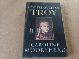 英文原版   The Lost Treasures of Troy