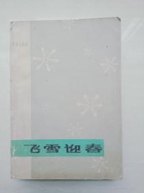 飞雪迎春