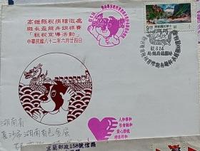 1993年县长杯龙舟锦标赛纪念实寄封， 无落地戳