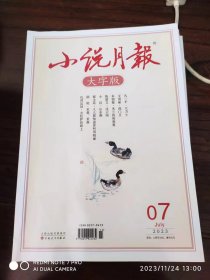 小说月报  2023年第7期  大字版