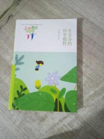 七色阳光小少年：在青春的怀里撒野