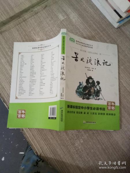 广旅云阅读美绘本名师点评无障碍阅读苦儿流浪记