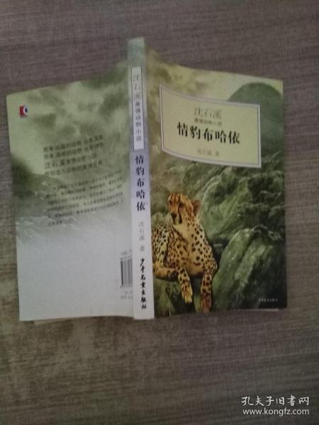 情豹布哈依：沈石溪激情动物小说