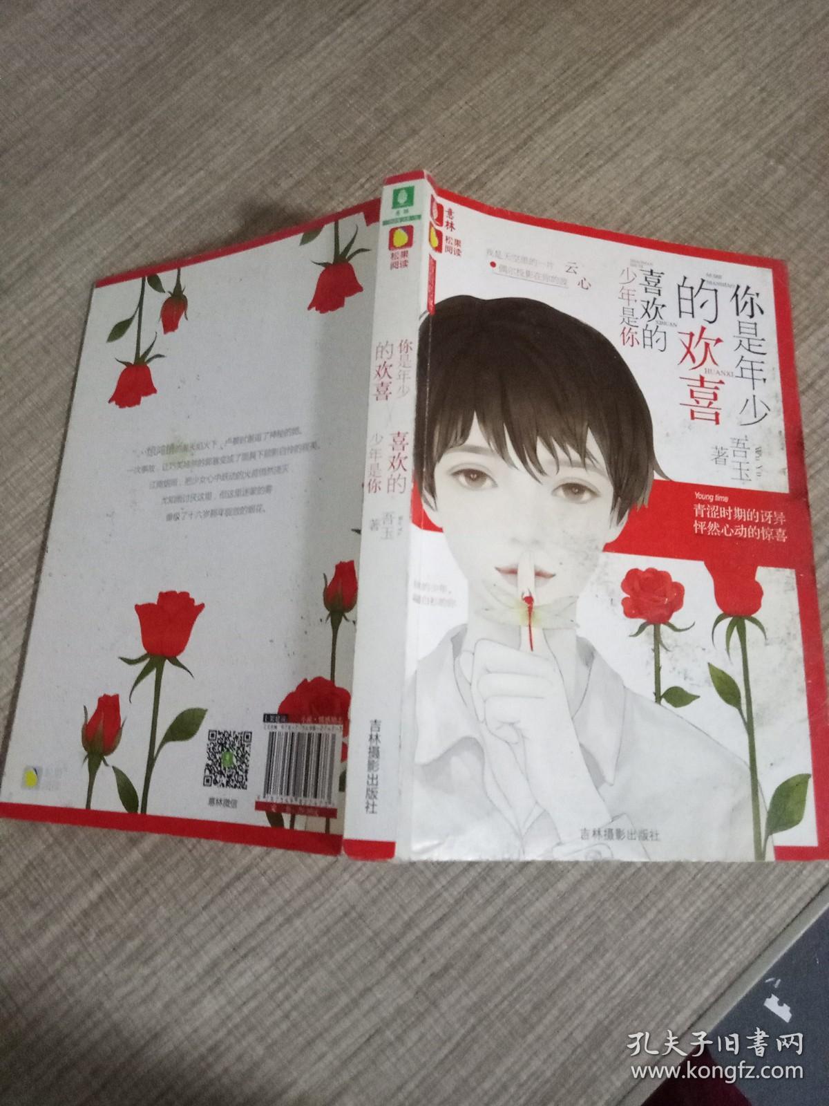 你是年少的欢喜，喜欢的少年是你