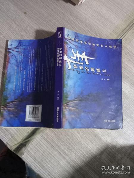 十年：梦里的蝴蝶兰/新概念获奖作者精华文萃3