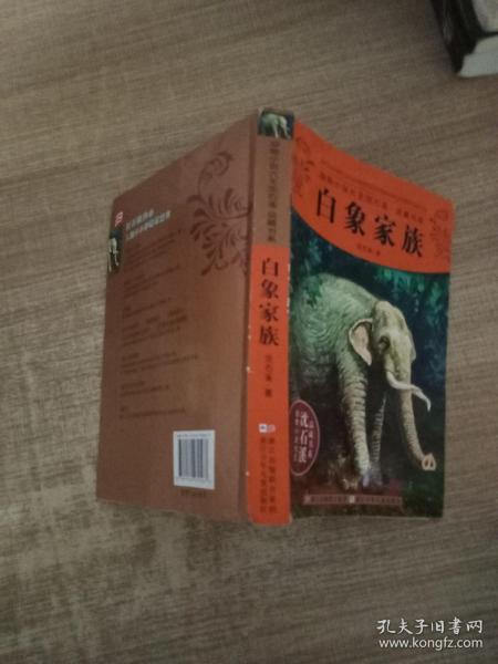 动物小说大王沈石溪品藏书系：白象家族
