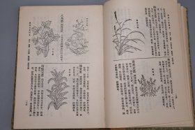 植物名实图考