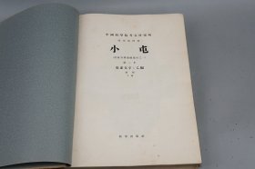 《小屯 第二本：殷虚文字 乙编 下辑》（大8开 布面 精装 带护封）1956年版 1130册◆ [特大开本厚册 河南安阳殷墟遗址之一（海量图版：龟甲兽骨 拓片插图）上古史 先秦历史、文物考古学、中国书法史、金石学、古文字学 国学儒学 古代汉语言 研究文献：甲骨文 中华文明起源]