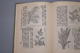 植物名实图考