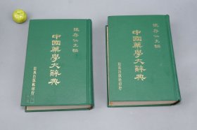 中国药学大辞典