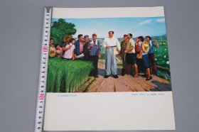 《山东美术作品选》（散页 全52张 带封套）1973年版※ [纪念毛主席 在延安文艺座谈会上的讲话 发表三十周年 -彩精印画册 七十年代时代特征浓厚（毛泽东视察人民公社、生产队、贫下中农还需要啥、我们都是为人民服务、花园口电灌站、黄河两岸披新装、打井机、沂蒙山的早晨、地雷战、海阳歼匪特、埋葬帝修反）- 传统文化民俗 农民画 工农兵画册 非物质文化遗产 国画绘画艺术文献]