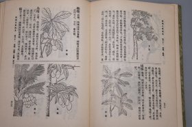 植物名实图考