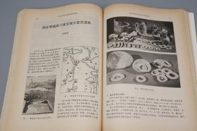 《中国古代窑址调查发掘报告集》（文物出版社）1984年一版一印※  [大开本 中国古代工艺美术 文物考古学 陶瓷 瓷器 古董古玩艺术 研究收藏 鉴定文献：浙江青瓷、江苏宜兴、江西宋代遗址、韩国新安沉船、长沙铜官窑]