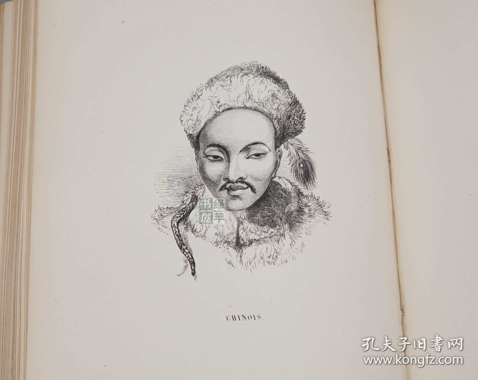 《植物园》（法文原版 精装 第一卷）1842年 清代道光时期版★ [彩色手绘 铜版画、大量 木版画原作（中国人？肖像一幅）大开本厚册 三面刷金 《Le Jardin des Plantes》西文古书收藏 西方法国历史文化 自然科学 动物学 植物学 生物学（草木鸟类 鸟兽花木 野生动物 狮子老虎 大象犀牛 斑马麋鹿 小狗犬类） 绘画艺术 园林园艺 林学医学 研究文献]