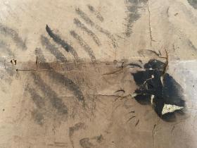 清早期日本手绘《猛虎图》一幅，落款：一逍？，钤印：藤原一逍？，绝对很老，品差慎拍！