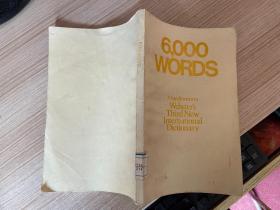 6000 WORDS 6000个词 韦氏第3版国际大辞典新词续编