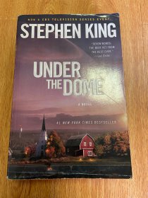 【英文原版】 Under the Dome：A Novel  穹顶之下