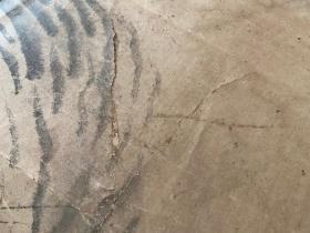 清早期日本手绘《猛虎图》一幅，落款：一逍？，钤印：藤原一逍？，绝对很老，品差慎拍！