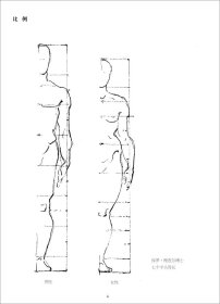 2016正版新书 伯里曼人体绘画教程（精编版）湖南美术出版社 艺用人体结构解剖学 人体描绘 艺用教程教材 临摹范本 正版正品
