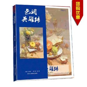 色调英雄传 主编 孙永峰  浙江人民美术出版社 色调解析 果蔬组合训练 风景色调基础知识 自学参考资料 正版书籍