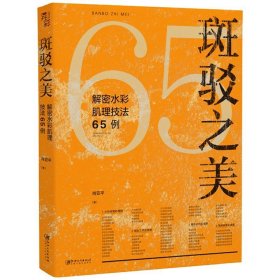 斑驳之美 解密水彩肌理技法65例 肖亚平著 江西美术出版社 水彩技法教程 工具材料讲解 正版书籍