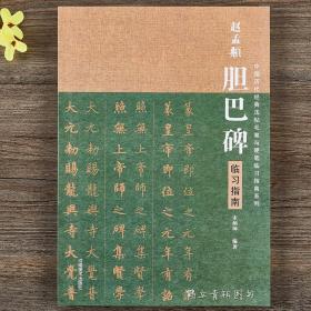 赵孟頫胆巴碑临习指南 中国历代经典法帖毛笔与硬笔临习指南系列 硬笔楷书名帖临写字帖练字帖 宋炳坤编 河南美术