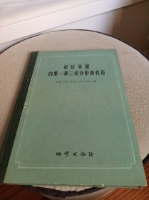 松辽平原白垩—第三纪介形虫化石 16开精装