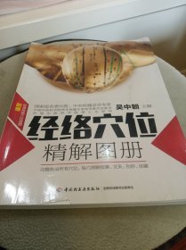 经络穴位经解图册