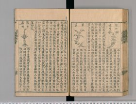 【提供资料信息服务】漕運議單摘要不分卷.抄本