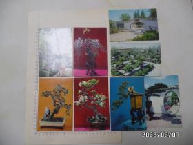 明信片:龙华盆景园(内存8张全,封套有点旧,1979年1版1印,详见图S)