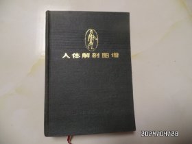 人体解剖图谱（普及本，32开精装，1983年1版2印，有私人签名，有书斑，详见图S）