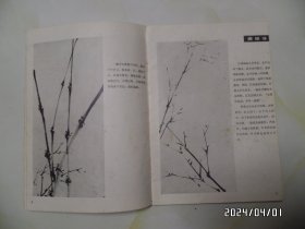 墨竹画法（16开，1986年1版1印，共27页，有黄书斑，详见图S）