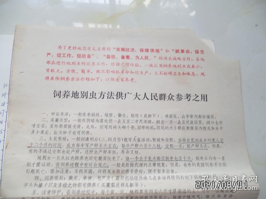 饲养地别虫方法供广大人民群众参考之用（8开，有语录，右上拐角少一块，中间折痕处有修补，折叠配送，详见图S）