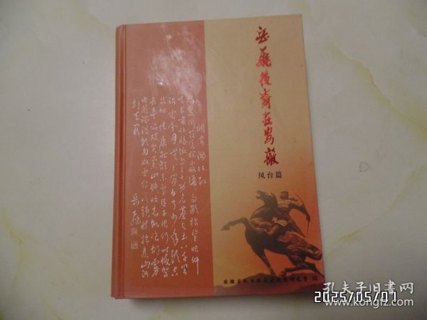 岳飞后裔在安徽（ 凤台篇，16开精装，2014年1版1印，印3000册，封面有点污渍，第1和第2页上拐角有点粘连，详见图S）