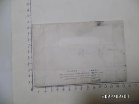 明信片:龙华盆景园(内存8张全,封套有点旧,1979年1版1印,详见图S)