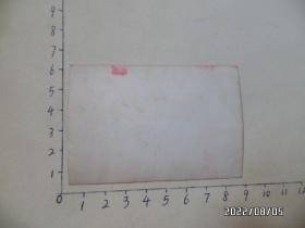 彩色照片：保和殿（尺寸：8.5*5.8厘米，具体详见图S）