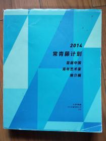 2014常青藤计划--首届中国青年艺术家推介展