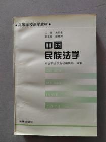 《中国民族法学》【点亮】（Z 517）