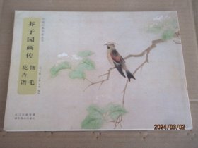 中国经典书画丛书 芥子园画传 翎毛花卉谱