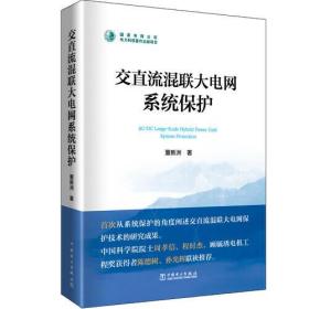 交直流混联大电网系统保护