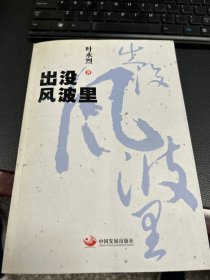 出没风波里