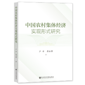 现货 官方正版 中国农村集体经济实现形式研究 卢洋 蒋永穆 著