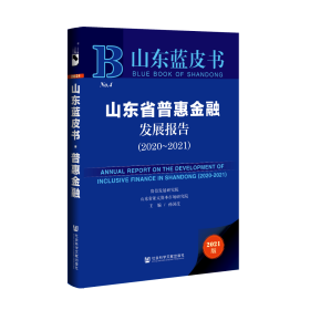 现货 官方正版 山东省普惠金融发展报告（2020-2021） 孙国茂 主编